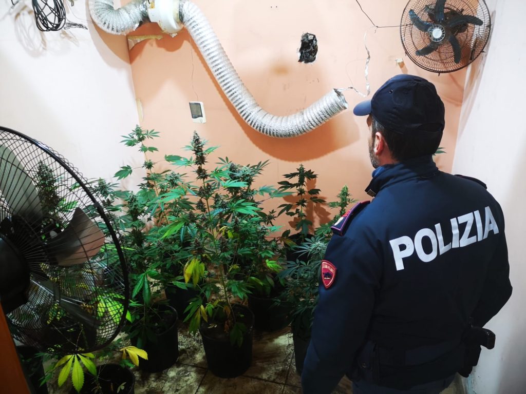 Adrano, serra indoor di marijuana nel centro abitato: arrestato 61enne
