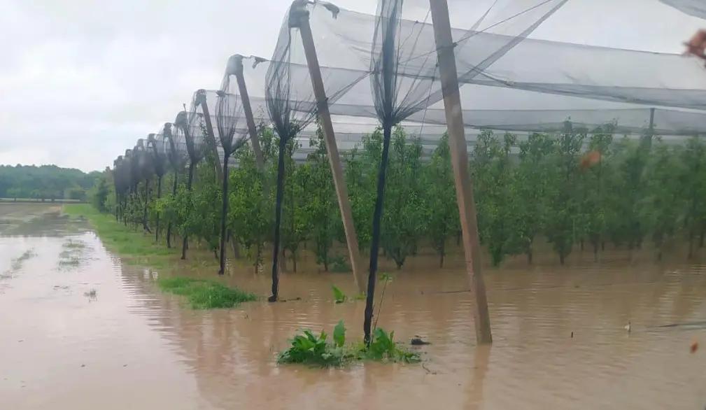 Maltempo flagella la Sicilia orientale, Confagricoltura lancia l’allarme: “Nuova emergenza per le campagne”