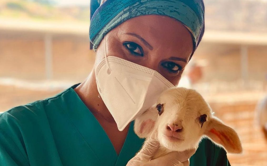 Nasce la Giornata Nazionale della Prevenzione Veterinaria: a Catania un evento divulgativo