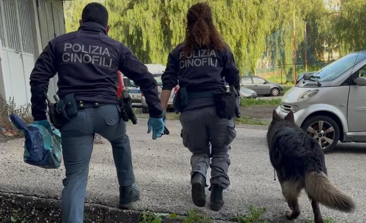 Cani poliziotto scovano 2,5 kg di droga e un arsenale: retata a San Giovanni Galermo (VIDEO)