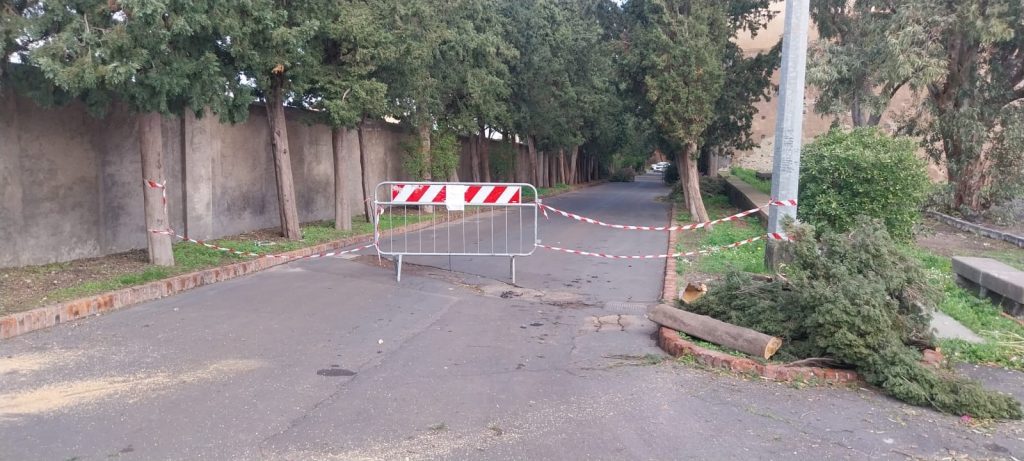 Ciclone Harry, alberi pericolanti a Paternò: chiusi viale degli Svevi e scalinata storica