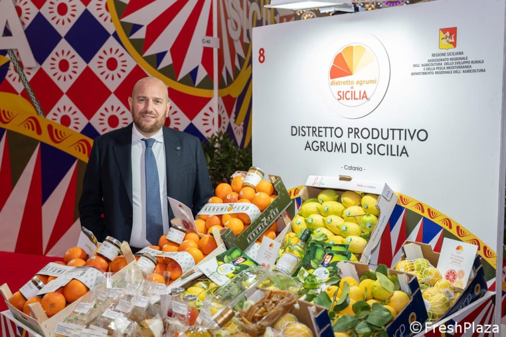 Agrumeti devastati dal maltempo, il Distretto di Sicilia scrive a Lollobrigida. "Subito stato di calamità”