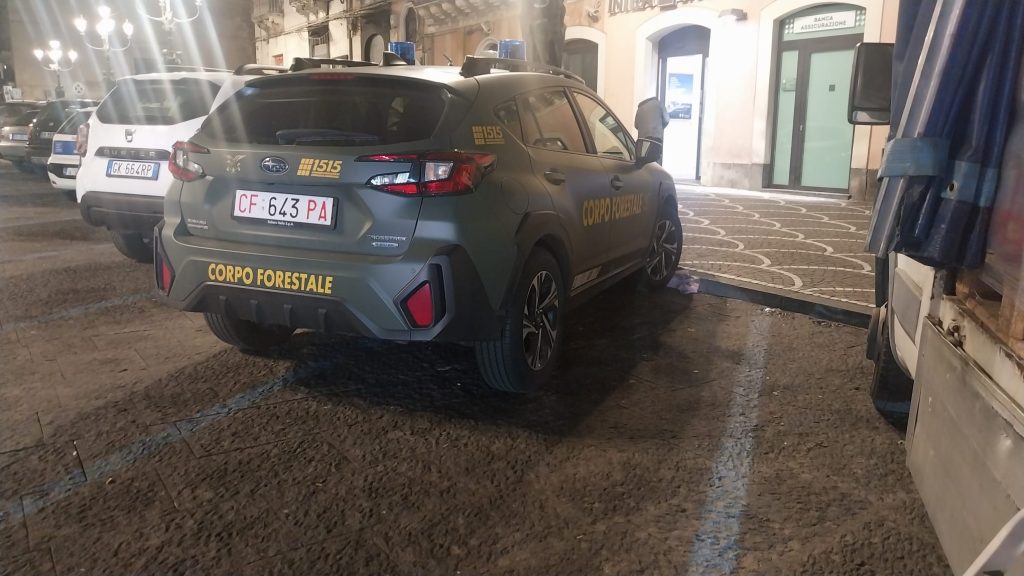 Paternò, controlli interforze in un locale etnico: intervento di Corpo Forestale, Polizia Municipale, Asp e Vigili del fuoco