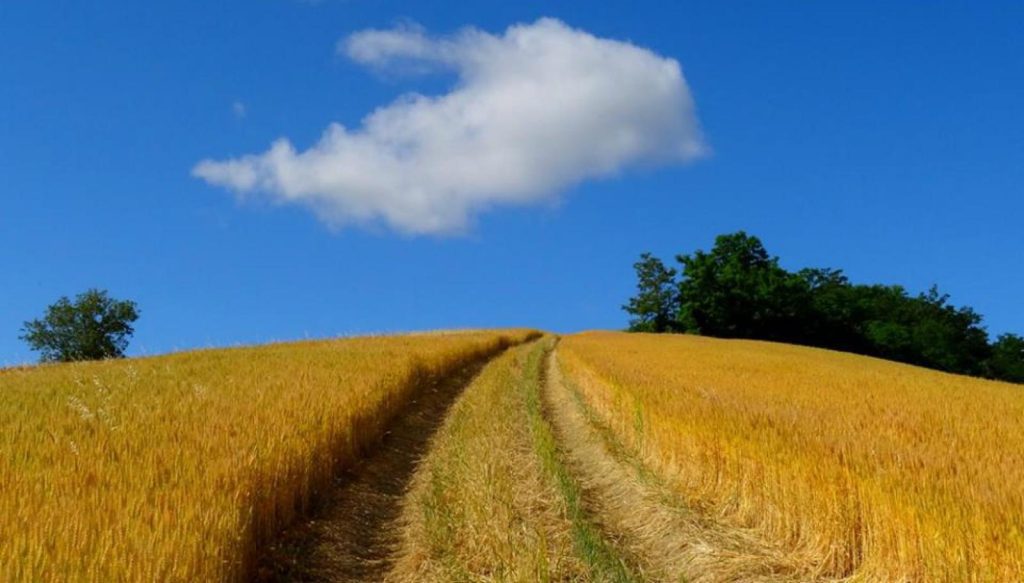 Tramonti e albe, mani strette e leggende narrate: perché vale la pena percorrere la propria strada