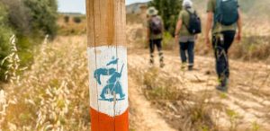 Tramonti e albe, mani strette e leggende narrate: perché vale la pena percorrere la propria strada