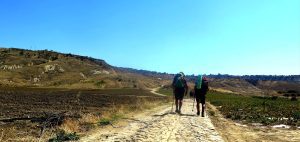 Tramonti e albe, mani strette e leggende narrate: perché vale la pena percorrere la propria strada