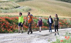 Tramonti e albe, mani strette e leggende narrate: perché vale la pena percorrere la propria strada