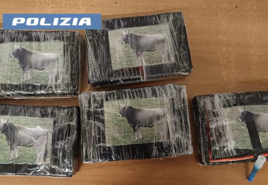 Catania, 5 kg di cocaina nascosti nell’auto rubata: sequestro da 400mila euro vicino allo stadio Massimino