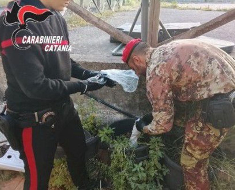 Paternò, 46enne lancia droga dal balcone ma viene arrestato: sequestrati quasi 600 g tra crack e cocaina