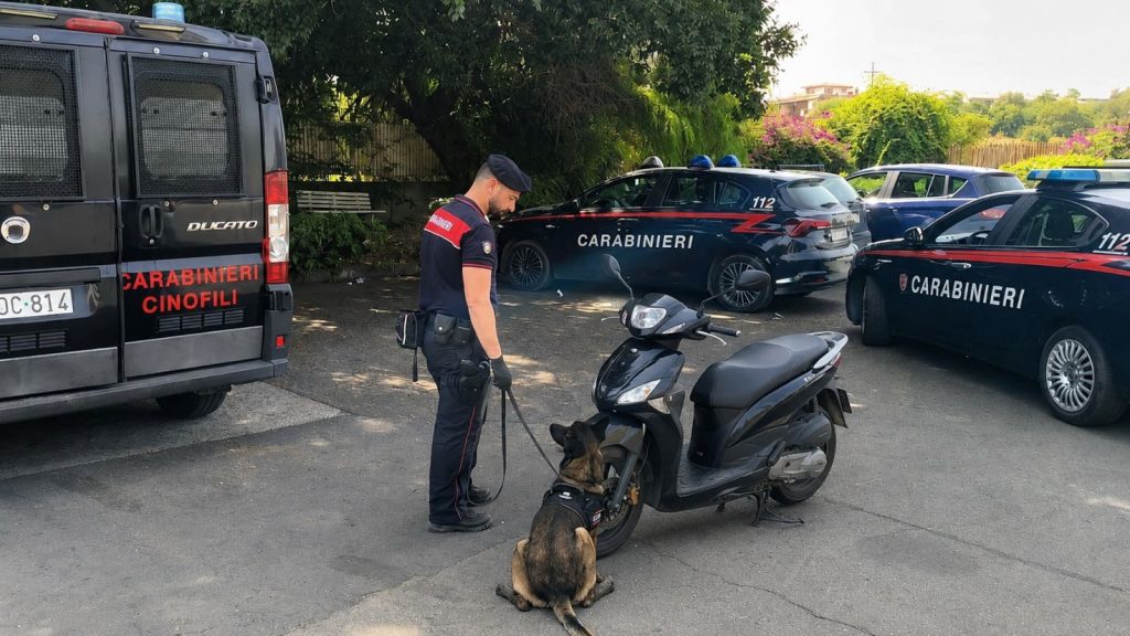 Paternò, cane antidroga trova 16 g di marijuana nel sellino di uno scooter: 25enne denunciato