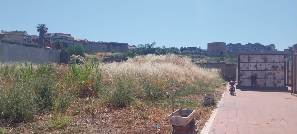 Degrado totale ai cimiteri di Paternò, croci di neonati sommerse da sterpaglie e immondizia