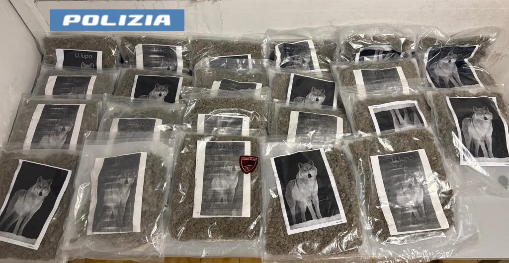 Catania, segnalazione di un cittadino al 112: sequestrati 20 kg di marijuana a Vaccarizzo