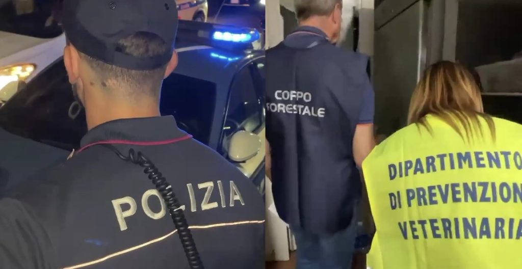 Controlli a tappeto a Catania: 24mila euro di multe per ristorante e locale notturno