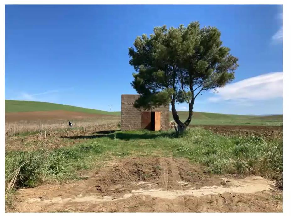 Il fiore e la polvere: Paternò, gli stagionali e il paradosso di una comunità supplente