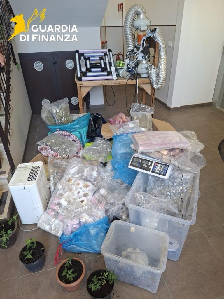 Catania, maxi-coltivazione di droga in villa: 100 kg tra hashish e marijuana, tre arresti (VIDEO)
