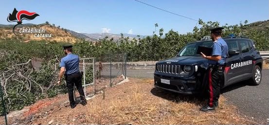 Bronte, tenta il furto di pistacchi DOP: 64enne di Adrano bloccato e arrestato dopo colluttazione