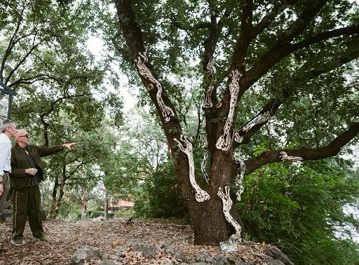 Giarre, "Ballasanti: Della Terra e Dell'Arte": un parco artistico permanente tra i vigneti dell'Etna