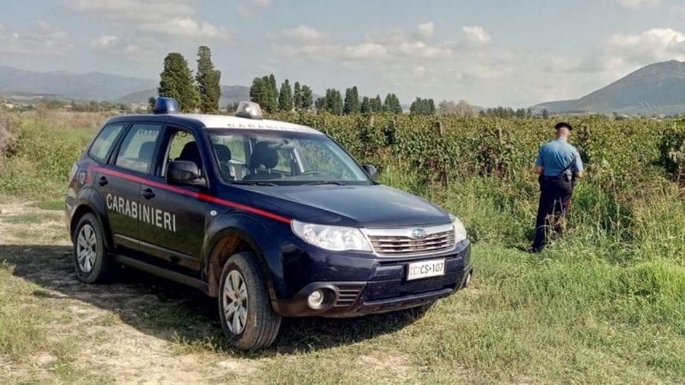 S. M. di Licodia, arresti per caporalato: fermate 5 persone. C'è anche una donna