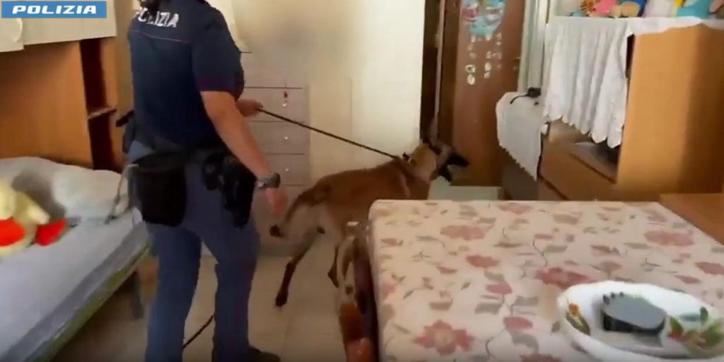 Catania, cane antidroga "Rex" scopre hashish nella cameretta di un 14enne: nel quartiere di S. Cristoforo (VIDEO)
