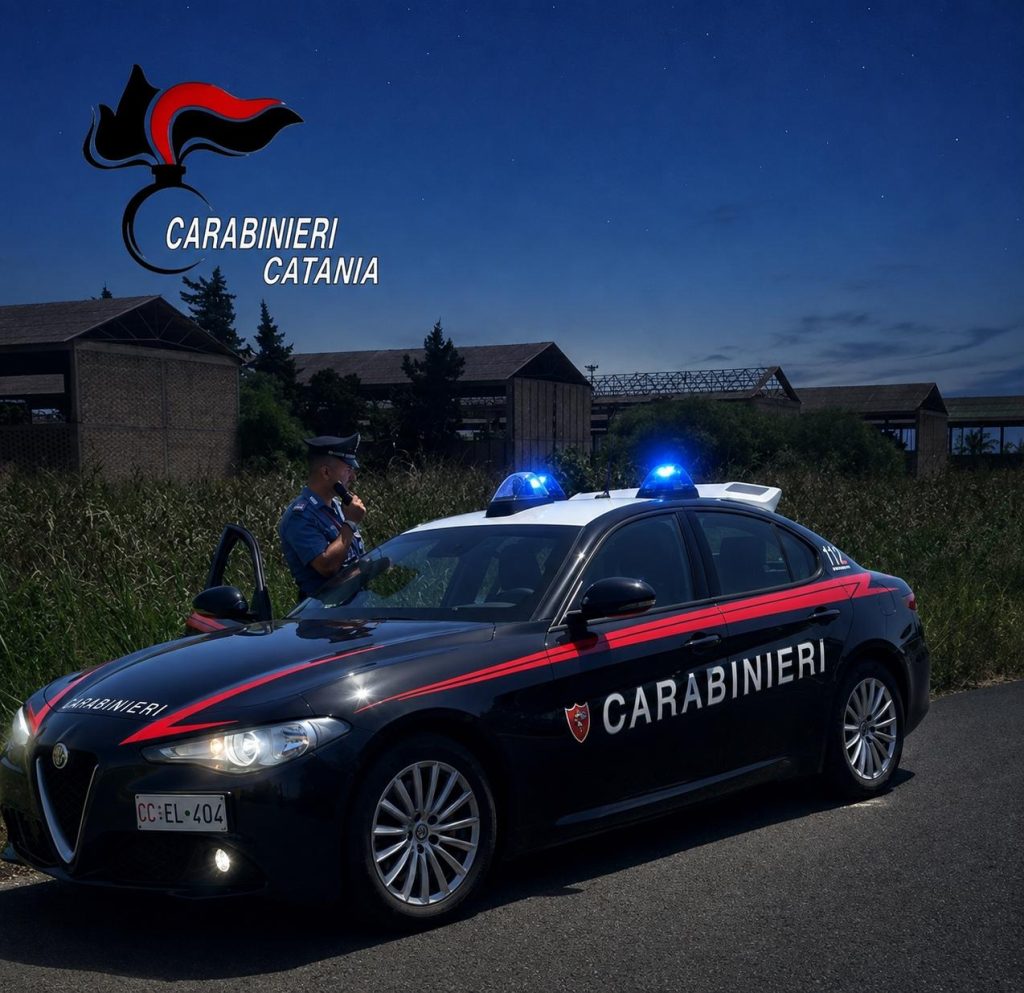 Catania, tentato furto in zona industriale: 19enne braccato dalla vigilanza e bloccato dai Carabinieri in un canneto