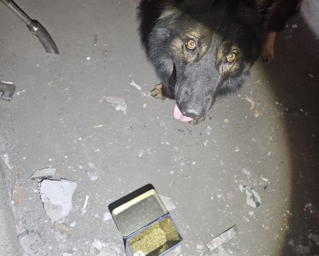 "Pusher 2.0" arrestato a Catania: nascondeva 3,5 kg di marijuana nel garage
