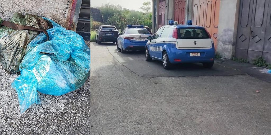 Adrano, due cani morti tra i sacchi e la terrazza: individuato il presunto responsabile
