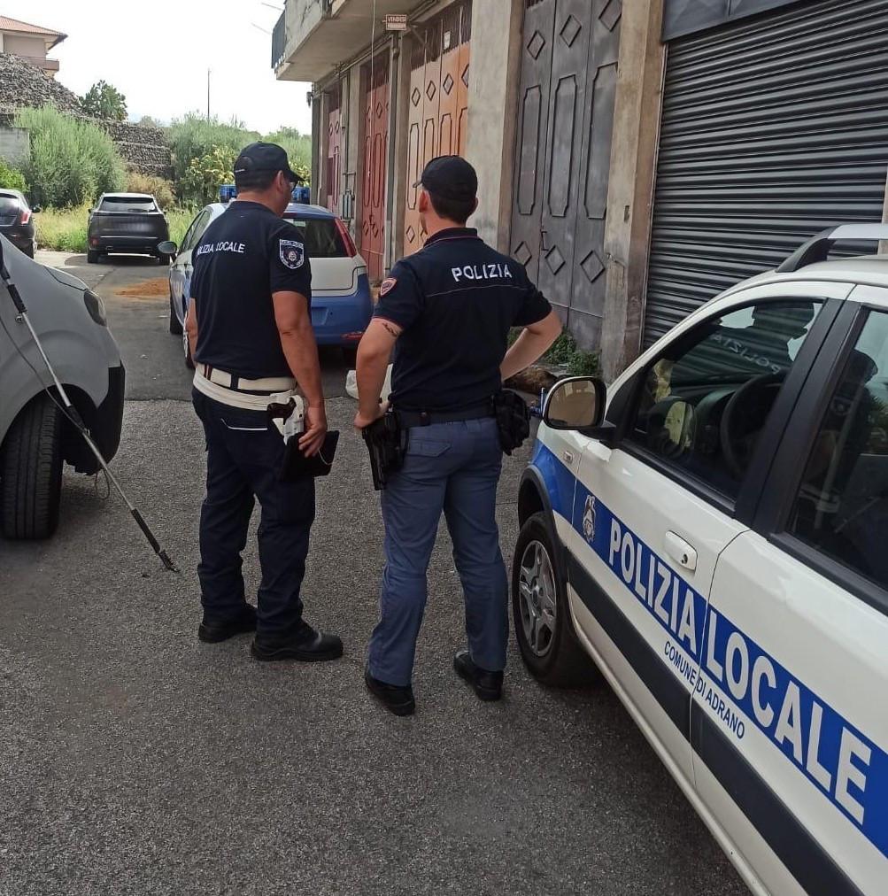 Adrano, uccideva i cani e li gettava nei sacchi: 47enne denunciato e ricoverato in clinica psichiatrica