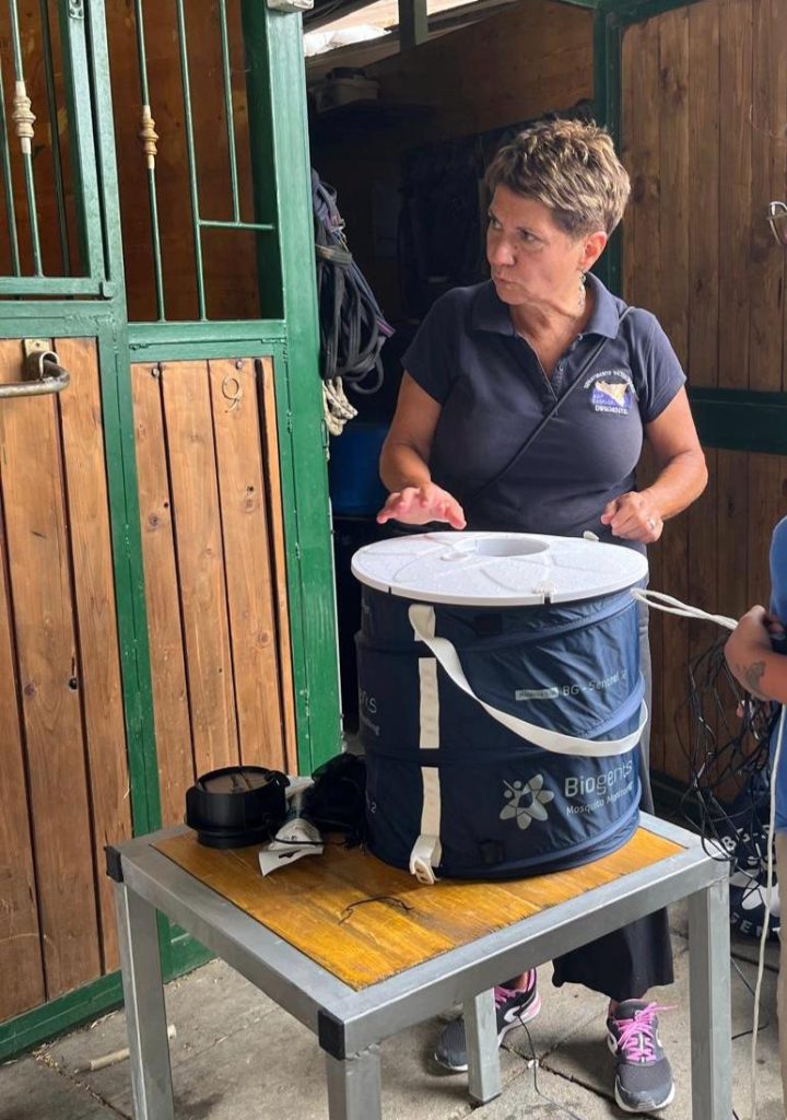 Catania, West Nile sotto controllo: nessun virus nelle zanzare ma prevenzione non si ferma. L'appello dell'Asp ai cittadini