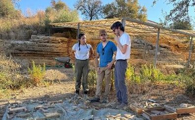 Open day alla Valle dei Templi di Agrigento: gli scavi del Ceramico si mostrano al pubblico